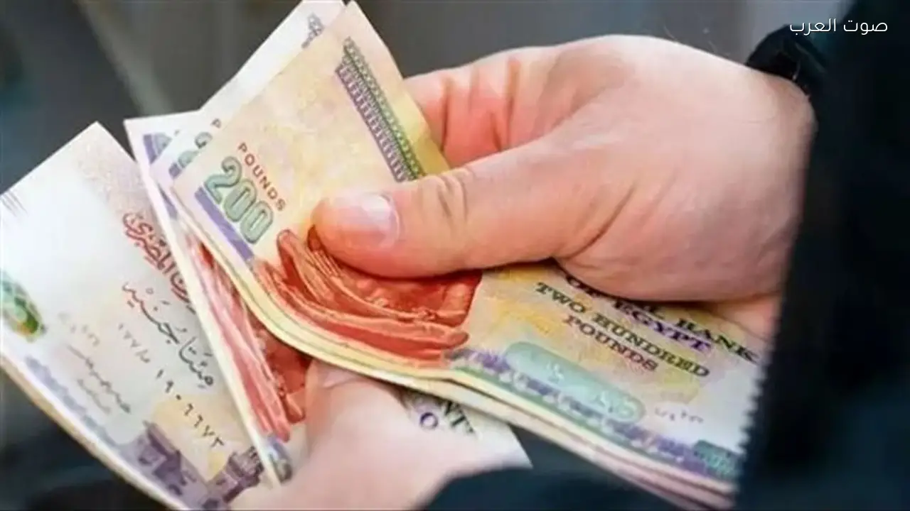 ارتفاع أرصدة إيرادات أرباح الهيئات الاقتصادية إلى 8.9 مليار جنيه