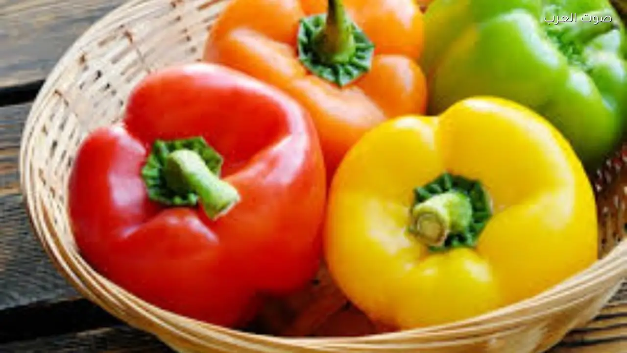 فوائد تناول الفلفل الملون على صحة الجسم