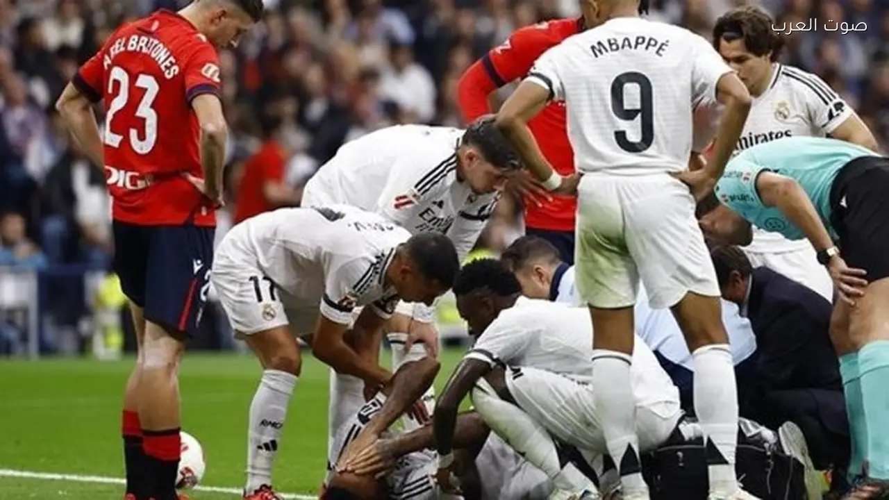 نجم بنفيكا: نهدف للفوز على ريال مدريد في التحدي الأوروبي