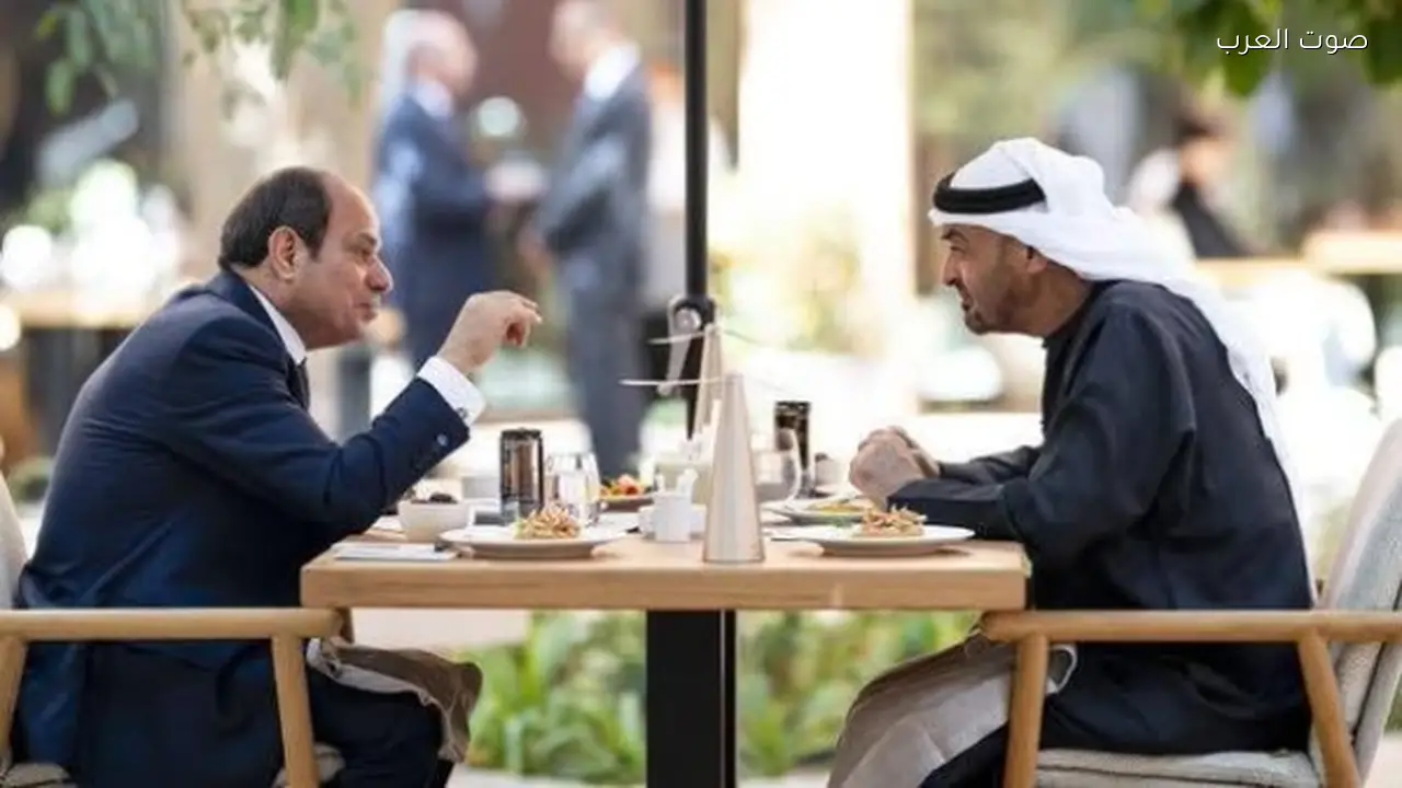 الرئيس السيسي يعود إلى مصر بعد زيارة للإمارات