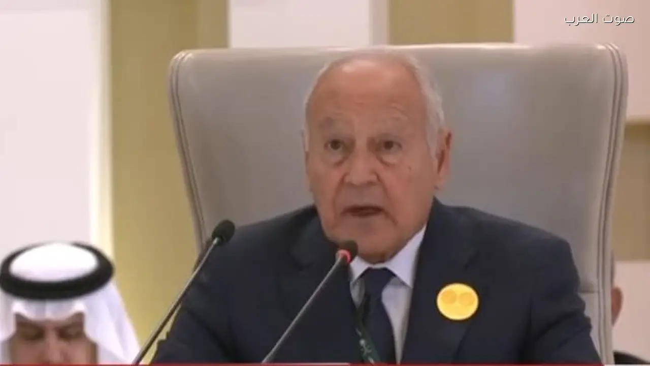 أبو الغيط يؤيد تشكيل حكومة جديدة في اليمن