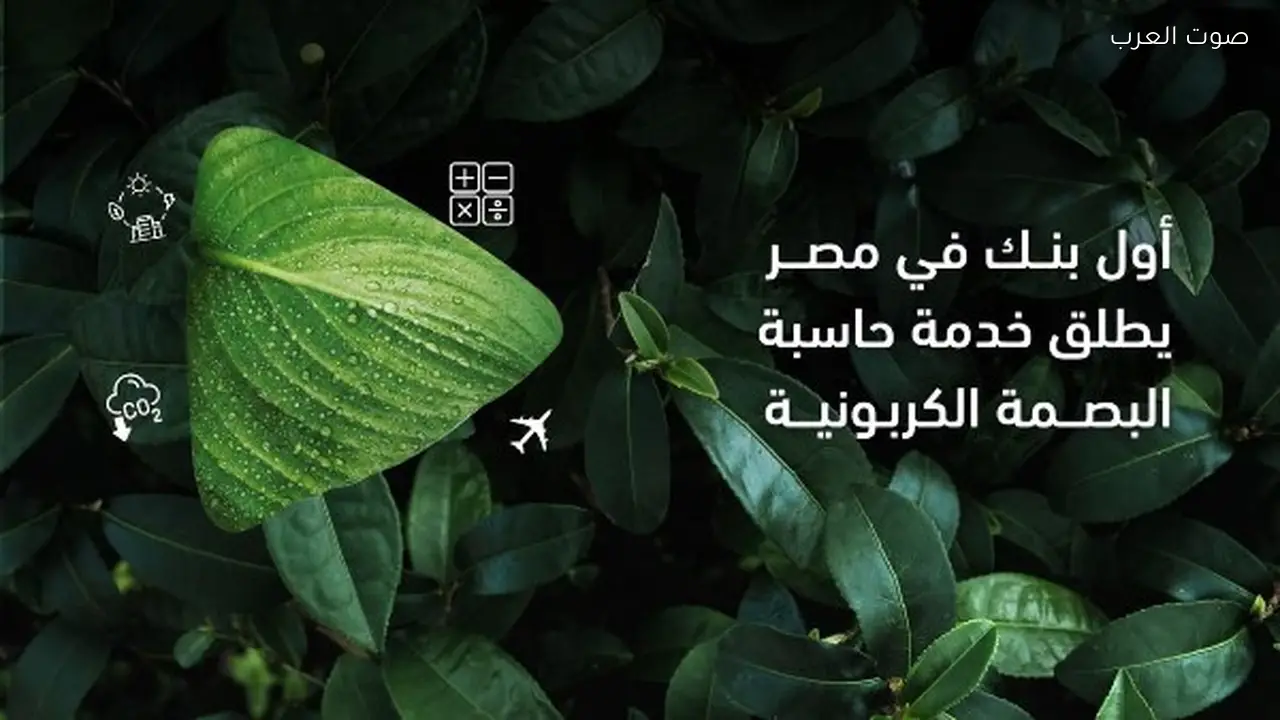 أبوظبي التجاري مصر يقدم خدمة حاسب البصمة الكربونية للشركات