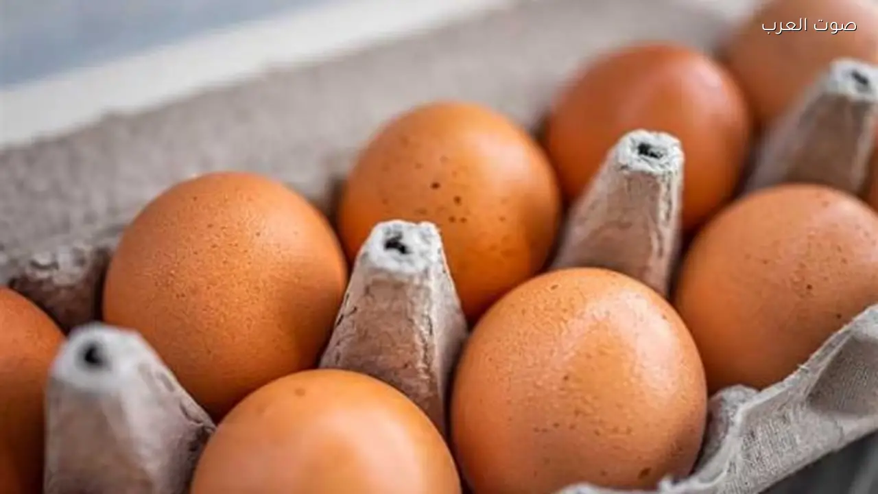 أسعار البيض اليوم: الكرتونة بـ 105 جنيهات