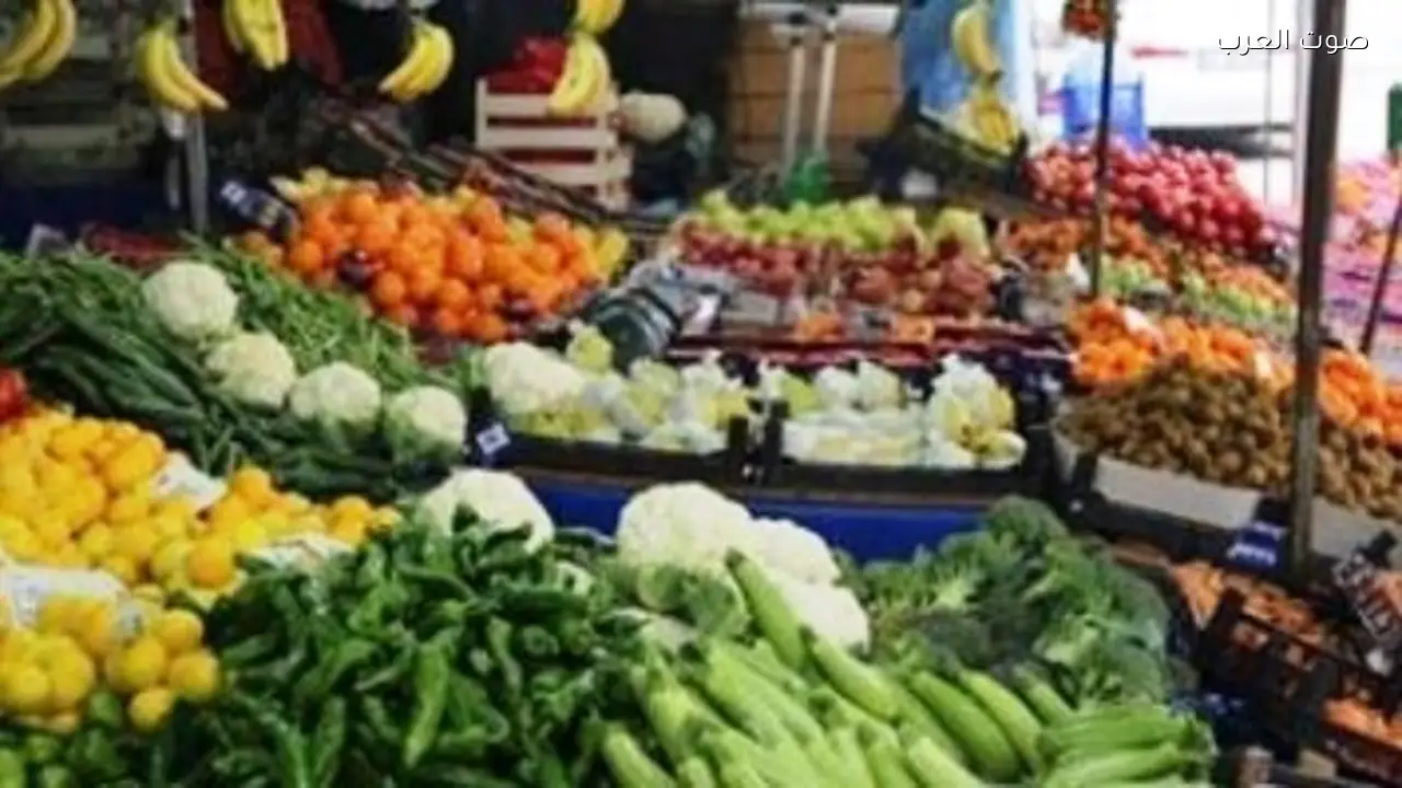 أسعار الخضراوات اليوم 16 فبراير 2026 قبل رمضان