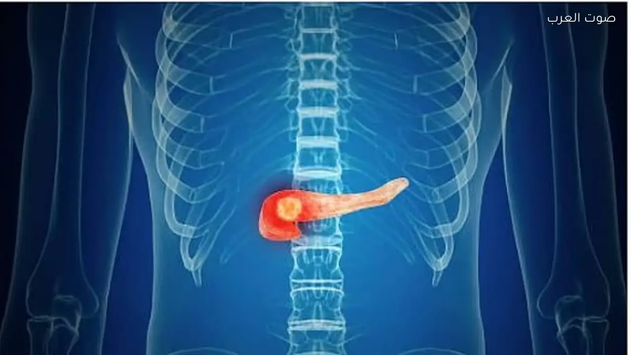 أعراض تشير لمشكلات البنكرياس يجب الانتباه لها