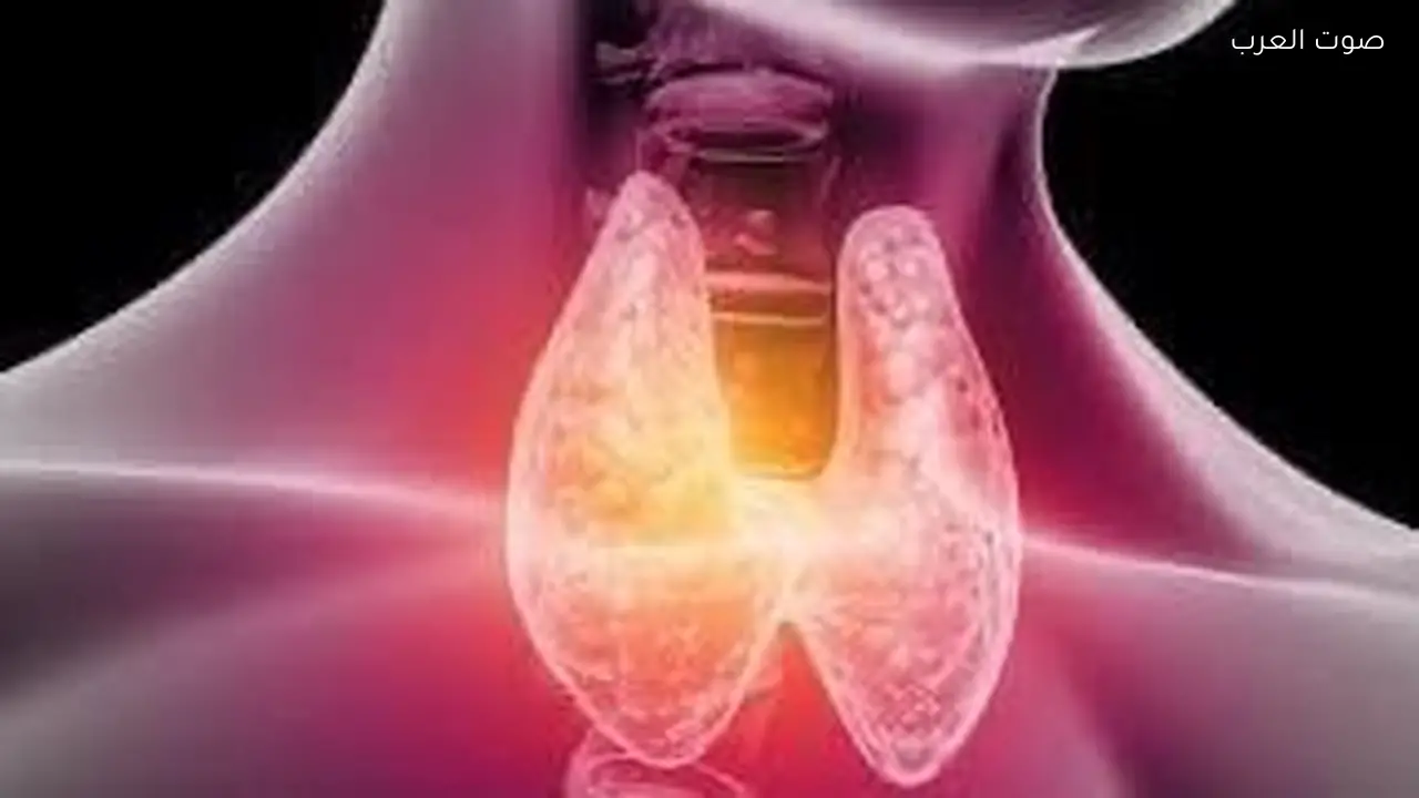 أعراض مشكلات الغدة الدرقية التي يجب أن تعرفها