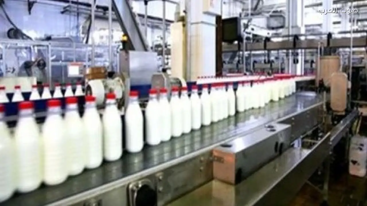 أهمية الزبادي في مائدة رمضان وفوائد الألبان للصائمين