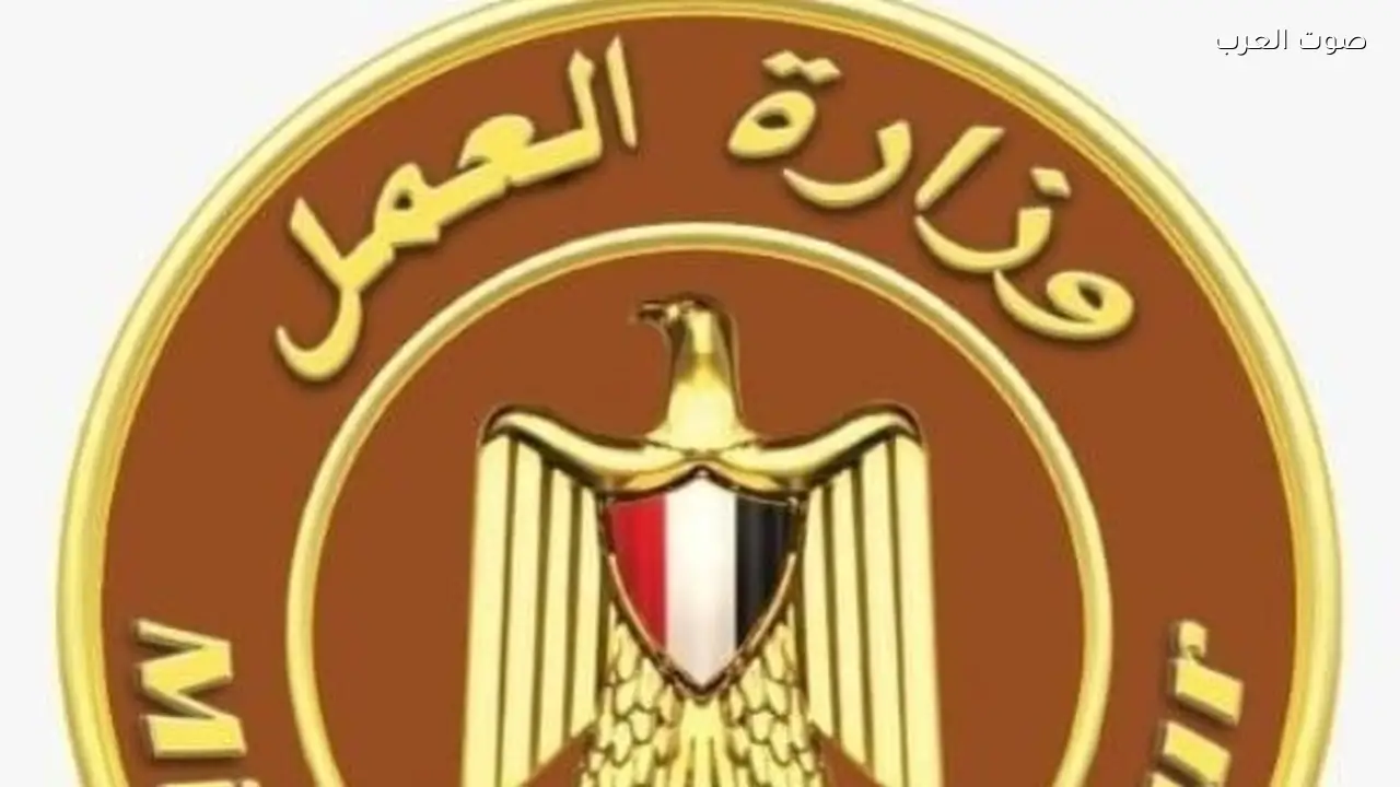 إنذار 1181 منشأة لتصحيح الأوضاع وتحرير 441 محضر مخالفة قانونية