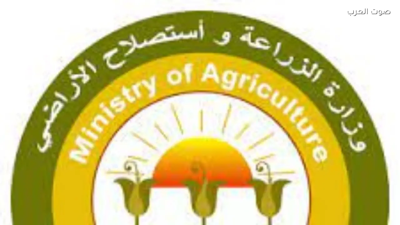 إيقاف موظفة بالزراعة بالغربية وتحويلها للنيابة بتهمة الاعتداء على زميلها