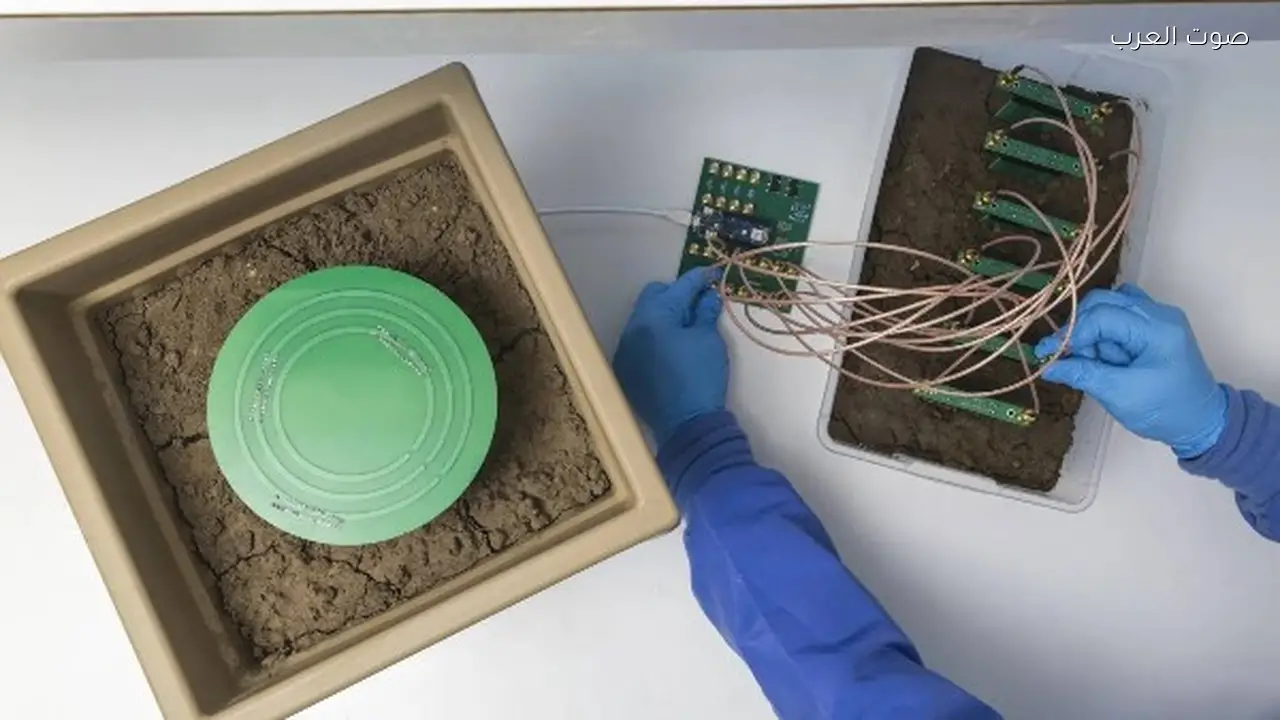 ابتكارات علمية لزراعة مستدامة بتكاليف منخفضة