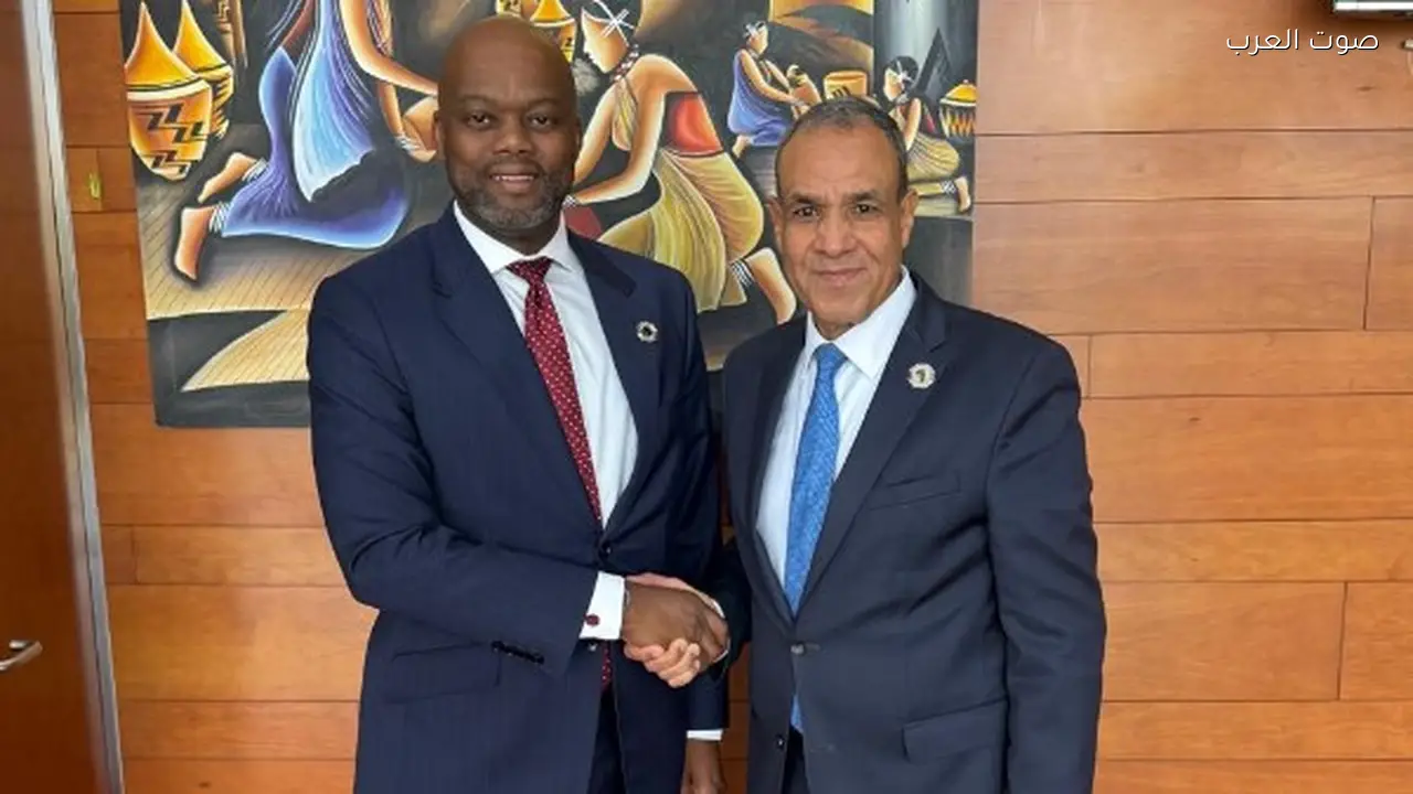 اجتماع مصري أفريقي لتعزيز تنفيذ اتفاقية التجارة الحرة