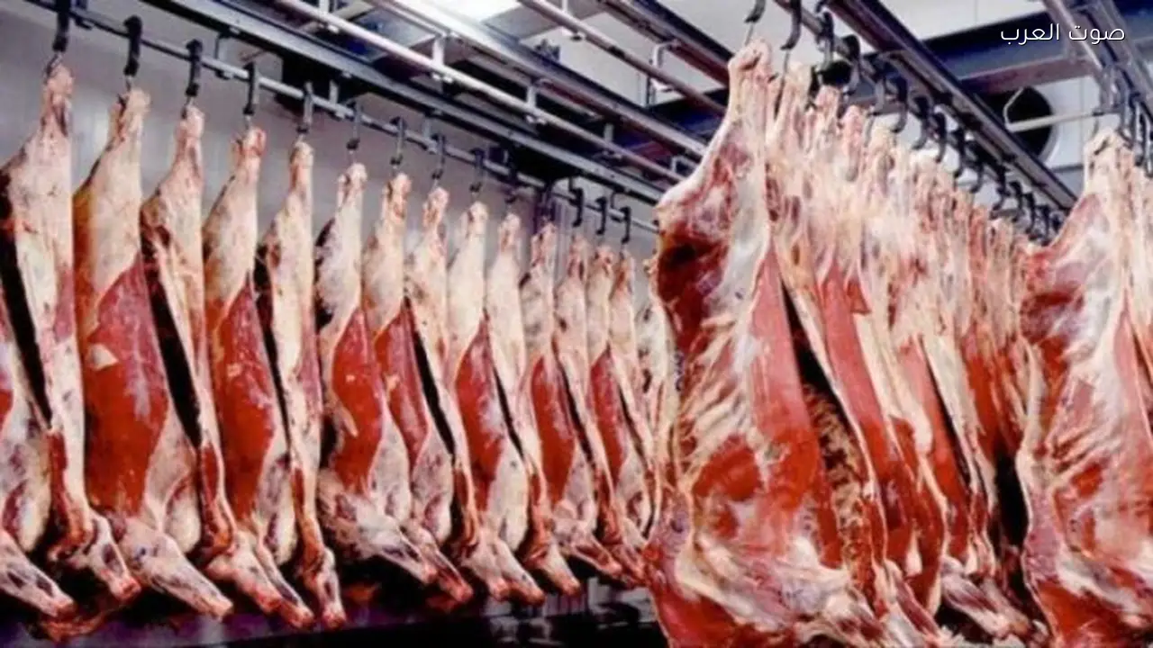 ارتفاع ملحوظ في أسعار اللحوم الحمراء بتونس خلال شهر رمضان