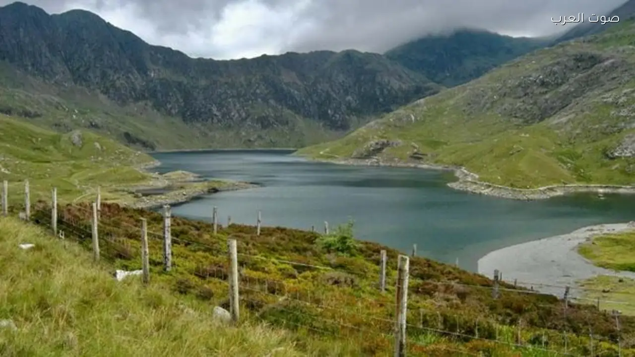 استبعاد الماشية من المراعي يزيد من خطر الاحتباس الحراري