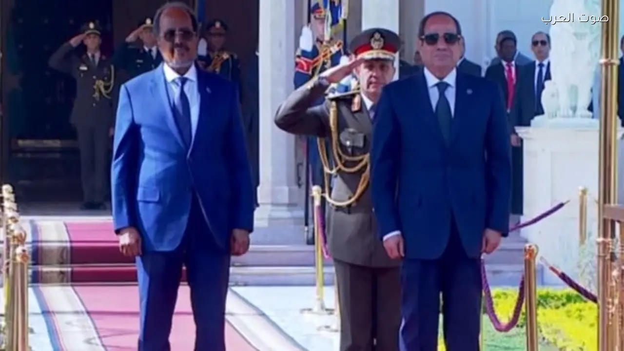 الرئيس السيسي يؤكد دعم مصر لوحدة وأمن الصومال