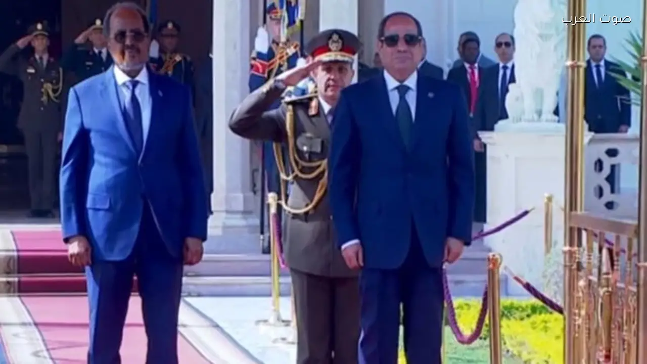 الرئيس السيسي يؤكد ضرورة تعزيز الشراكة الاستراتيجية مع الصومال