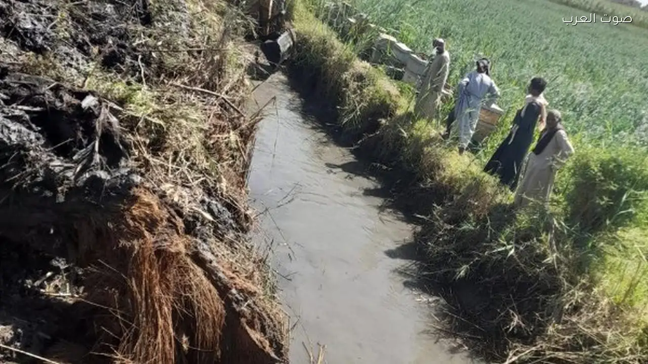 الزراعة تبدأ تطهير المساقي في الأقصر لموسم كسر القصب
