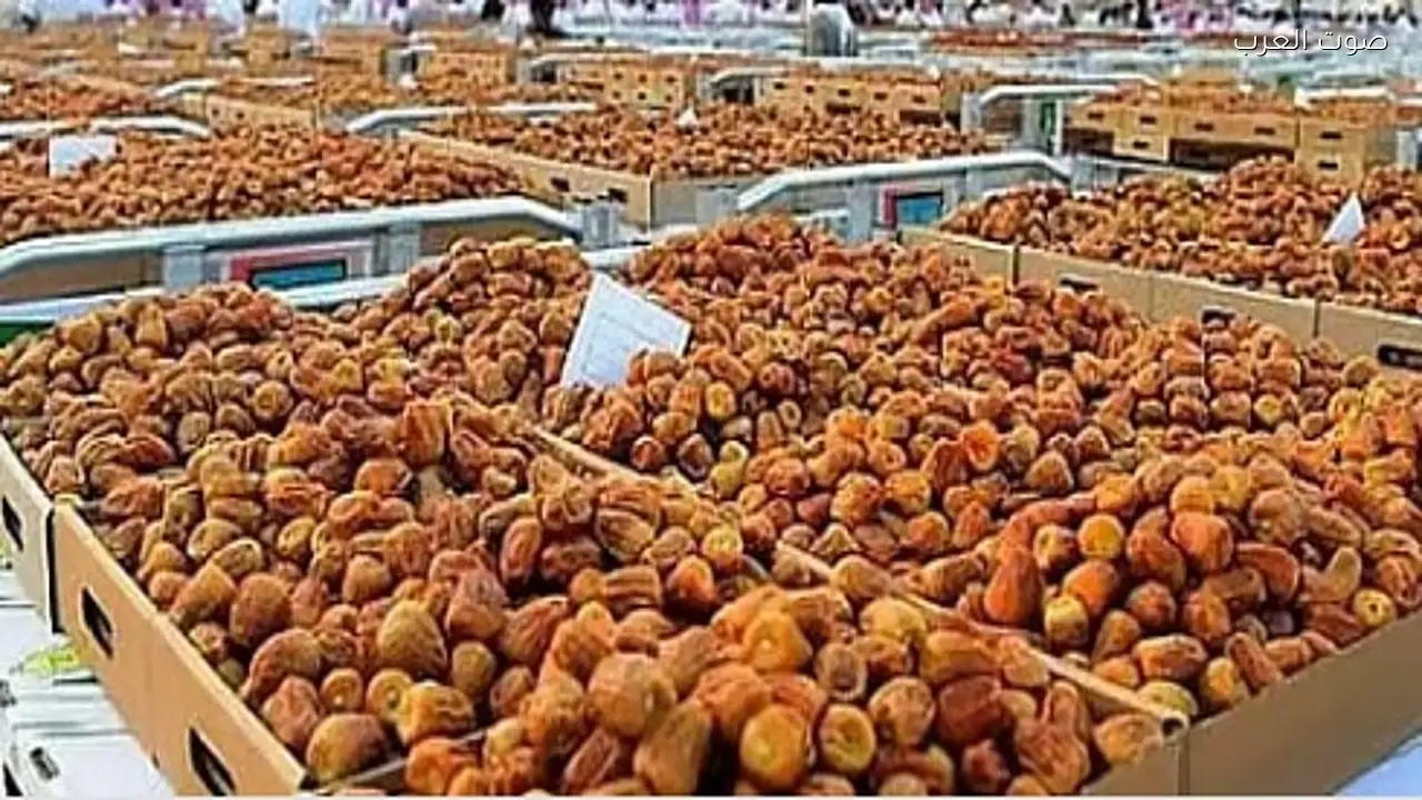 “الشؤون الإسلامية تسلم هدية الملك من التمور لألمانيا والبرتغال”