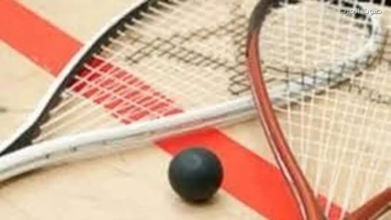 الشربيني والنوساني يتأهلان لنهائي جودفيلو كلاسيك للاسكواش