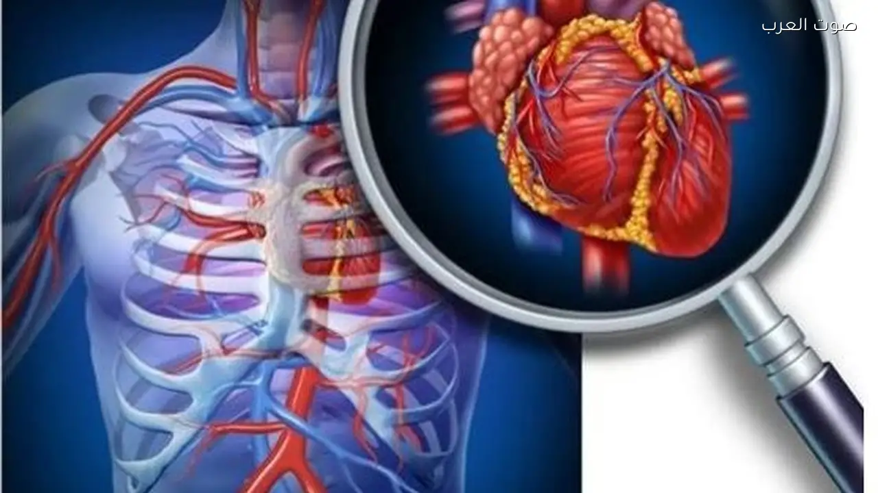 الفئات الأكثر عرضة للإصابة بتصلب الشرايين