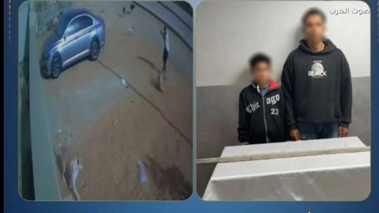 القبض على شخصين اعتديا على كلب حتى الموت في 6 أكتوبر