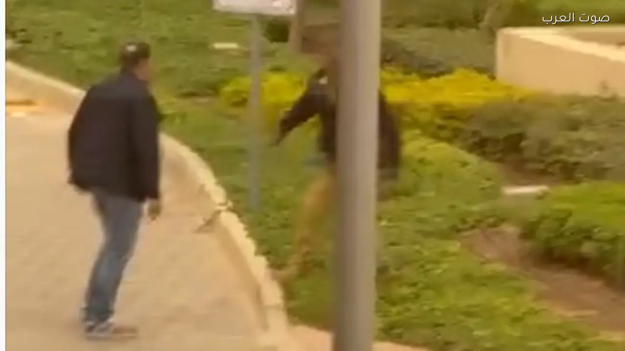 القبض على صاحب مصنع اعتدى على فرد أمن في كمباوند بالتجمع