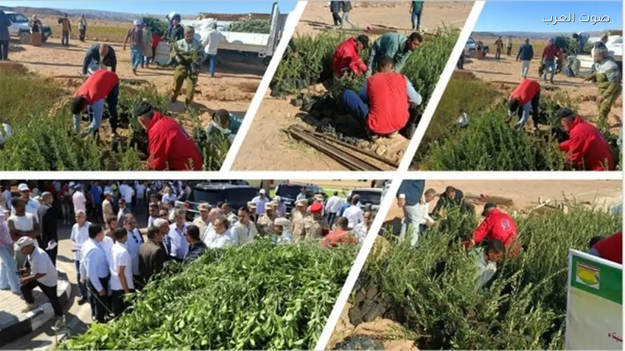 القيمة السوقية للتصوير الفضائي للزراعة تصل إلى 588.1 مليون دولار