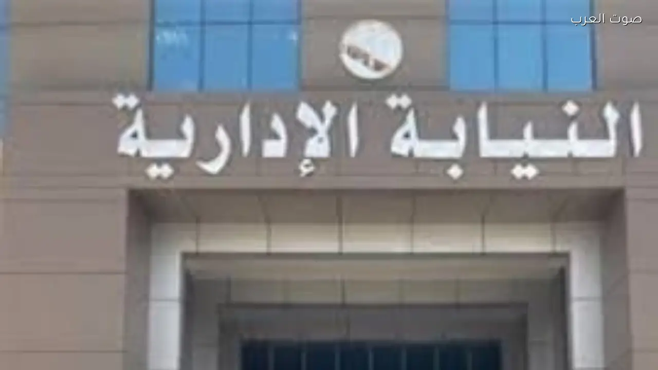 برنامج النيابة الإدارية يختتم التحول الرقمي في عصر الذكاء الاصطناعي