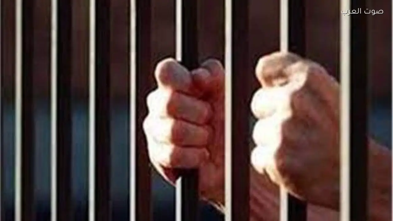 حبس فكهاني بتهمة الاتجار في المخدرات بالقليوبية