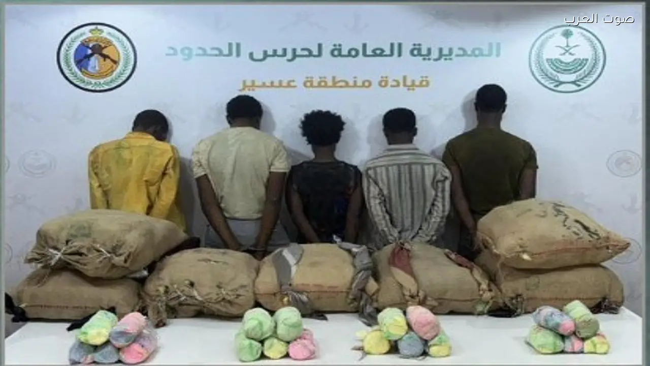 حرس الحدود بعسير يضبط 5 إثيوبيين بحوزتهم 105 كيلوجرامات من القات