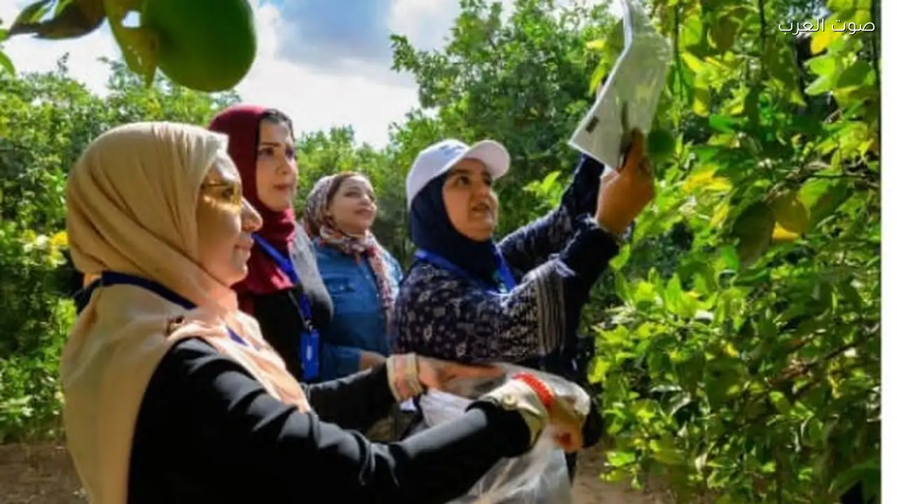 حملة توعية لمكافحة الآفات الزراعية في مصر