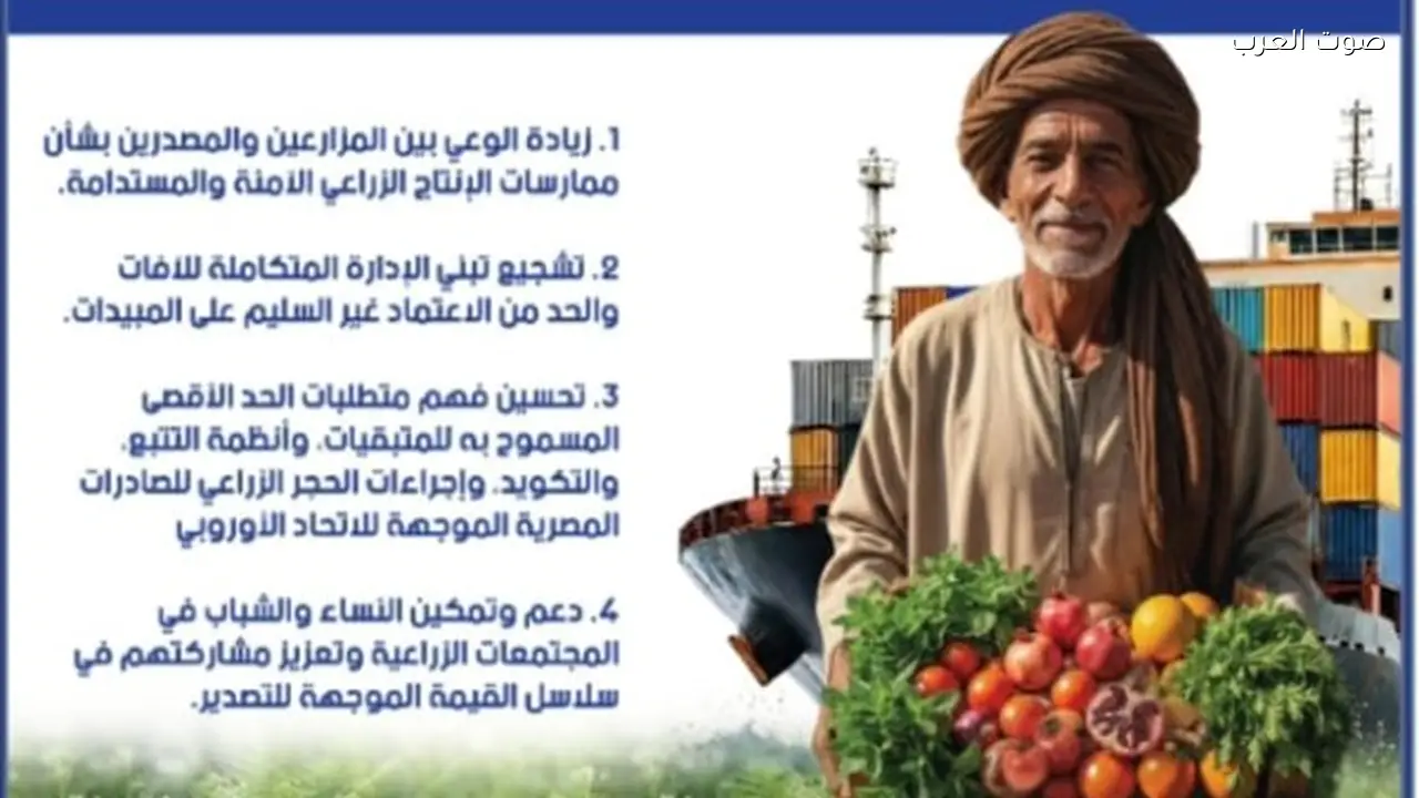 حملة «صدّر لأوروبا» تبدأ في فبراير لتعزيز صادرات الزراعة المصرية