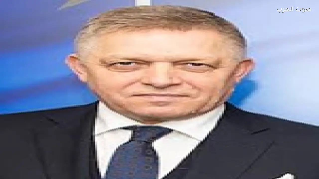 رئيس الوزراء السلوفاكي يطلب وقف إمدادات الكهرباء لأوكرانيا غداً