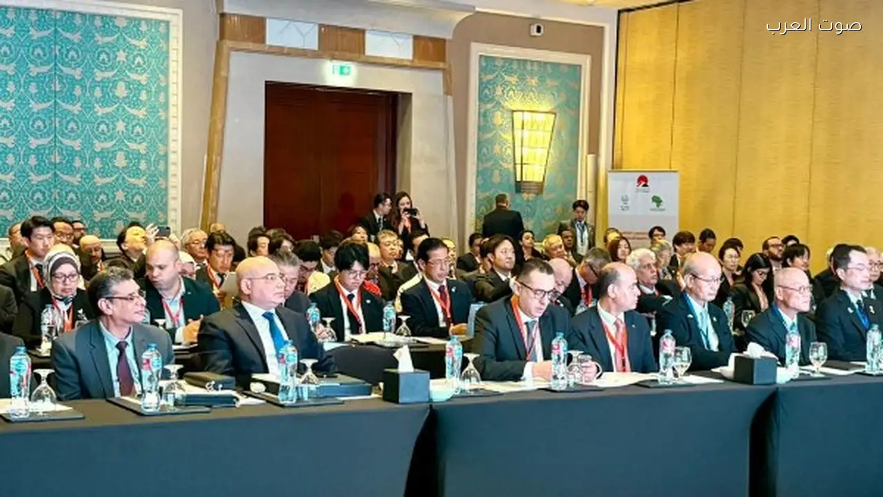 زيارة وفد استثماري ياباني كبير إلى مصر قريبًا