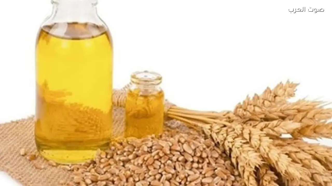 زيت جنين القمح يحمي بشرتك من الجفاف