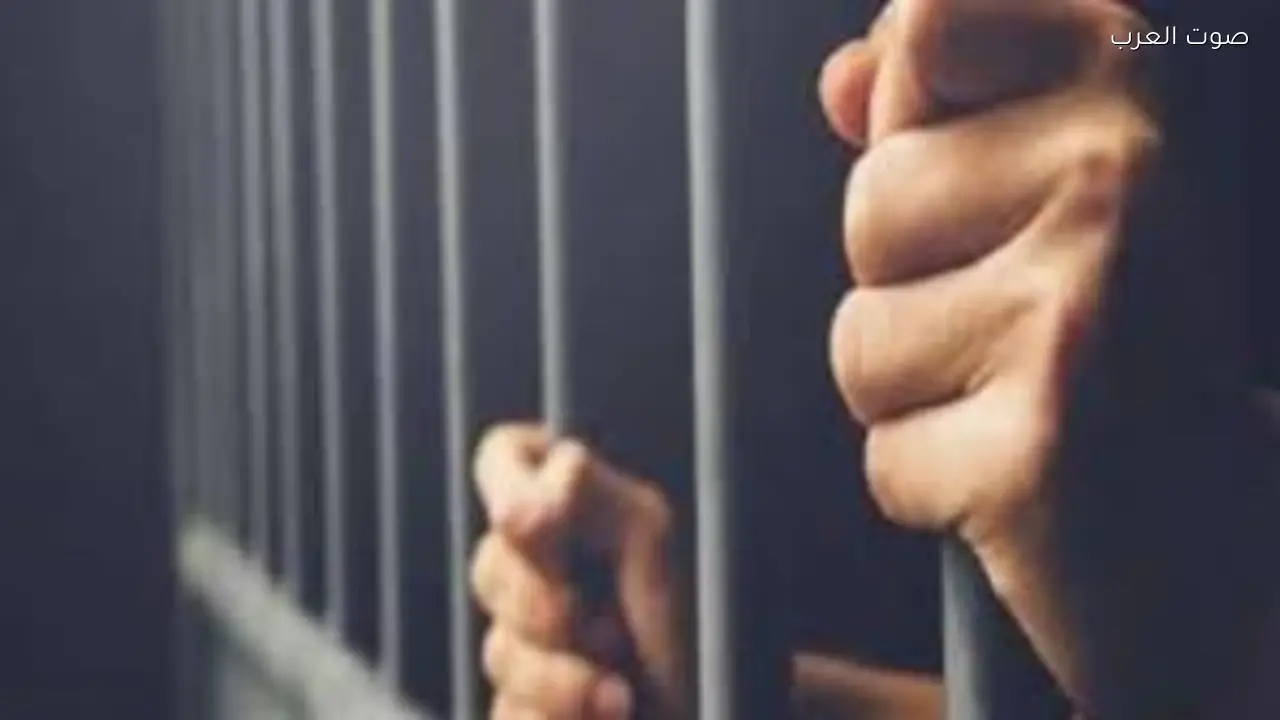 سرقة حقيبة يد سيدة في الدقهلية تفاصيل الحادث كاملة