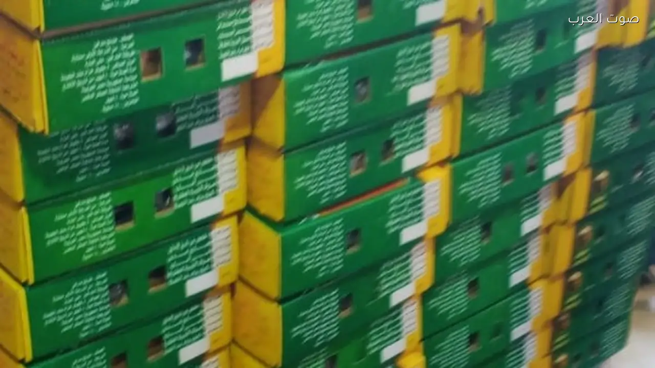 ضبط 500 كيلو رنجة فاسدة في حملات تموينية بالغربية