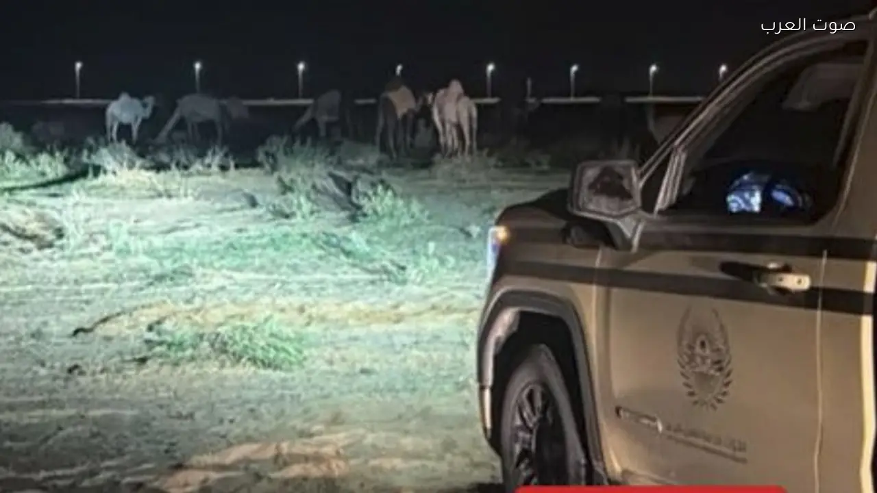 ضبط مخالف لرعيه في محمية الملك عبدالعزيز الملكية