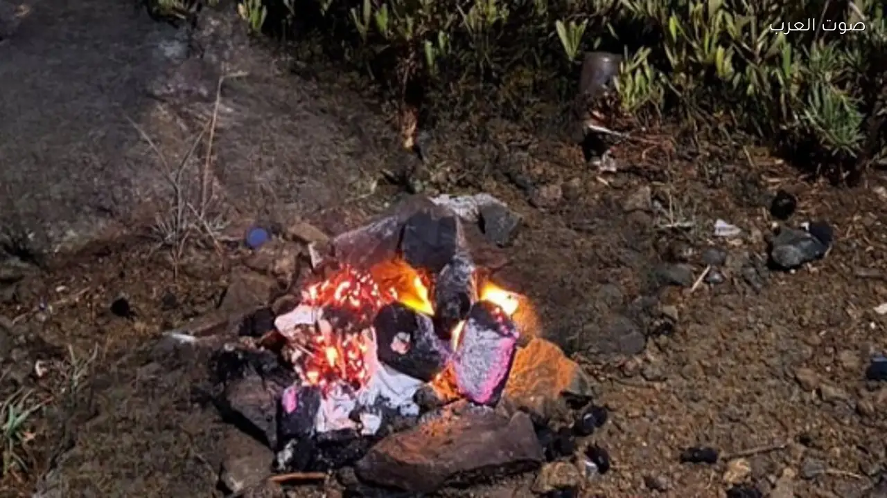 ضبط مواطن أشعل النار في محمية الإمام فيصل بن تركي