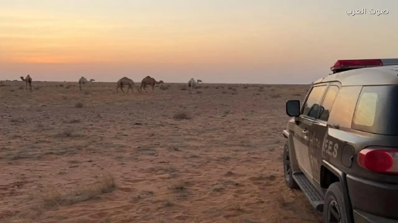 ضبط مواطن بسبب مخالفة رعي في محمية الإمام عبدالعزيز بن محمد