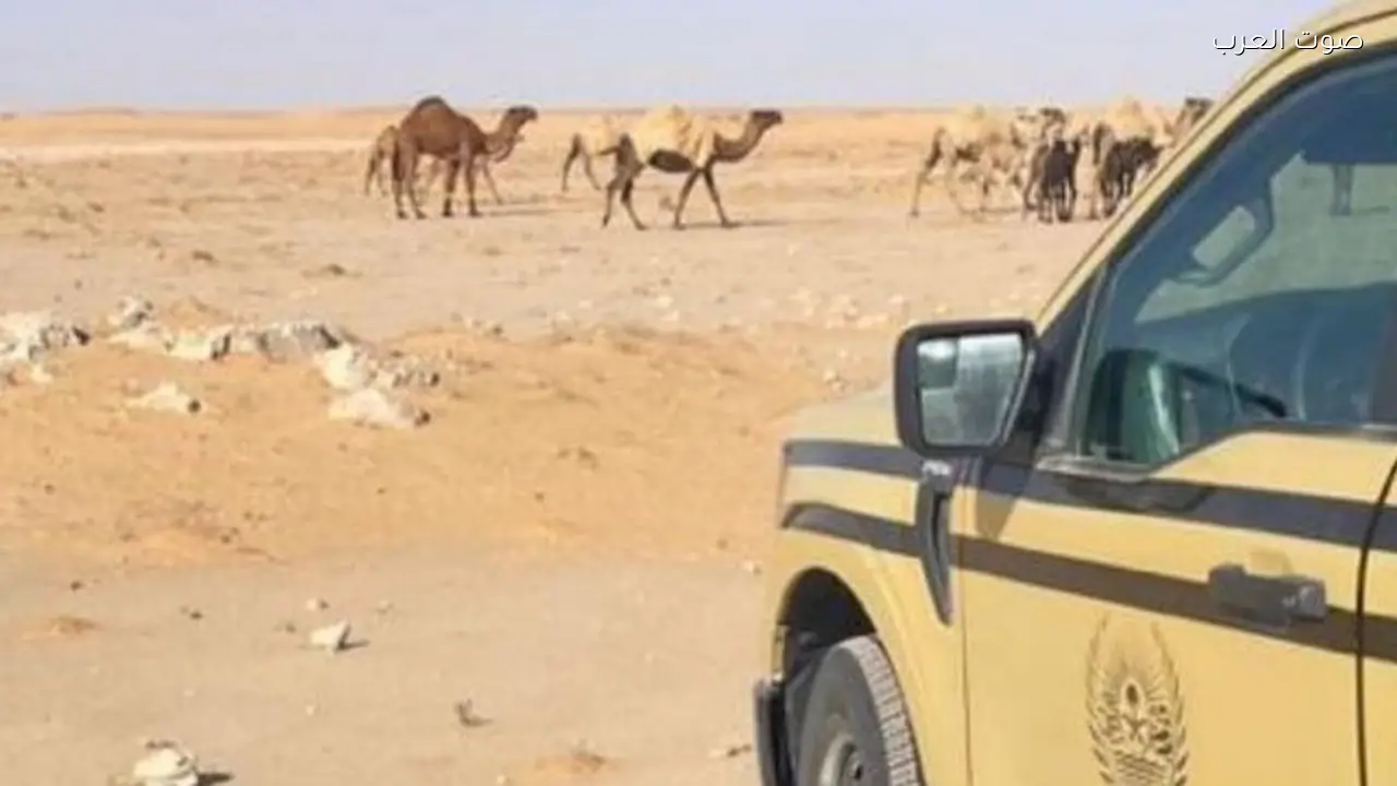 ضبط مواطن لمخالفة رعي في محمية الإمام عبدالعزيز بن محمد