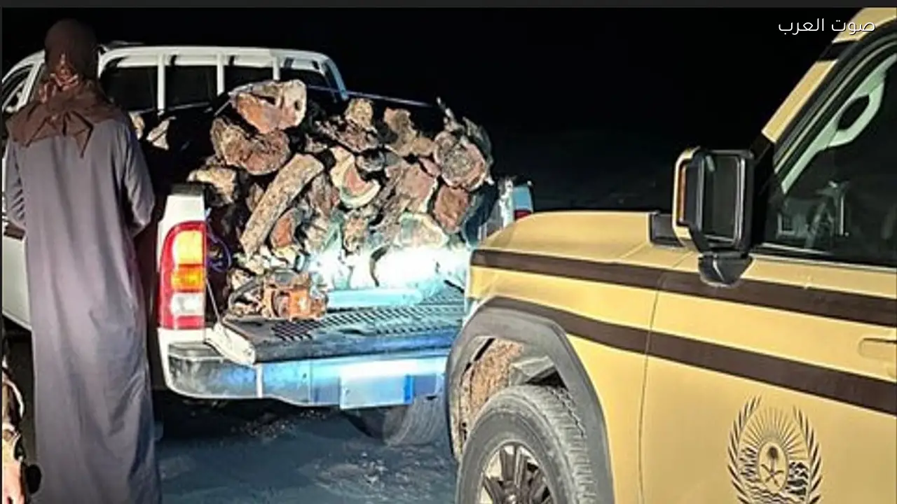 ضبط مواطن لنقله حطبًا محليًا في محمية طويق