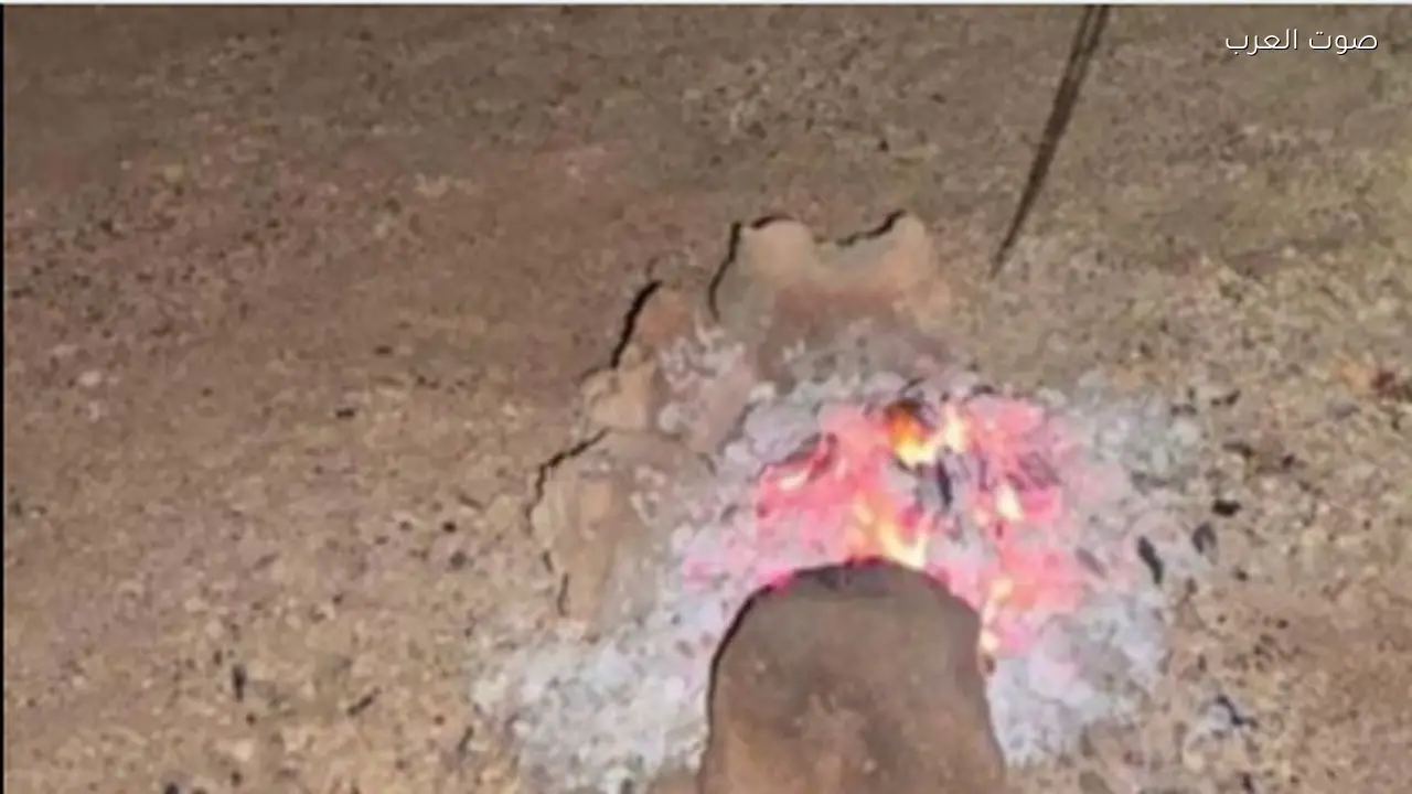 ضبط مواطن مخالف لنظام البيئة في محمية الأمير محمد بن سلمان