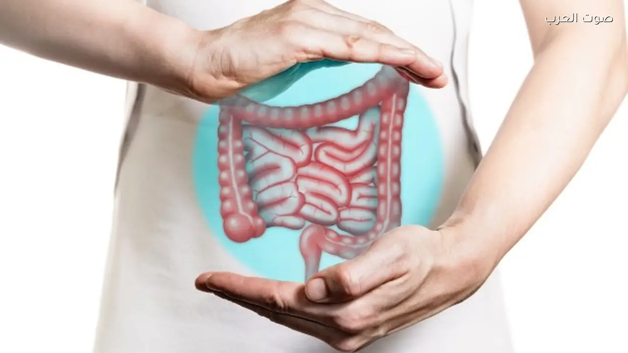 طرق فعالة للتخلص من الإمساك بسرعة خلال رمضان