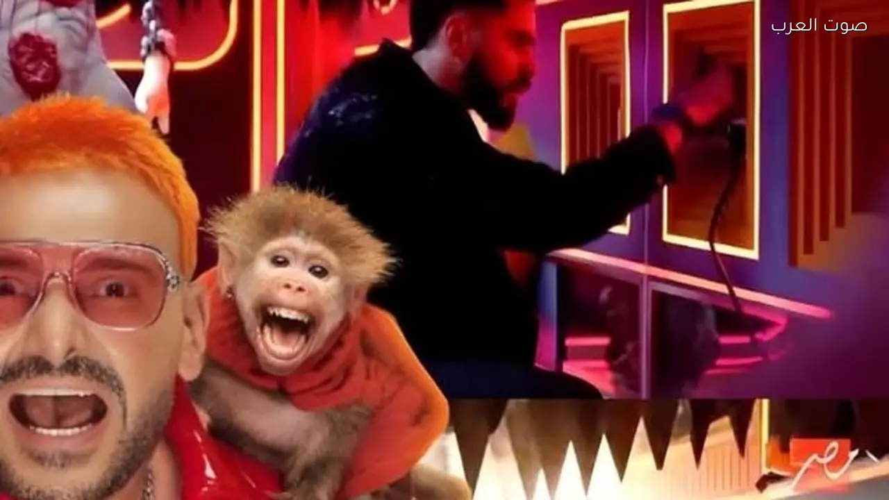 عمرو الدردير يعلق على نتائج برنامجه مع رامز جلال