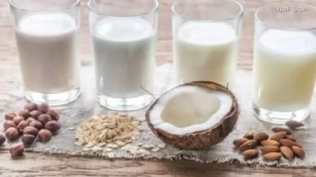 فوائد السوبيا في تقليل الشعور بالعطش