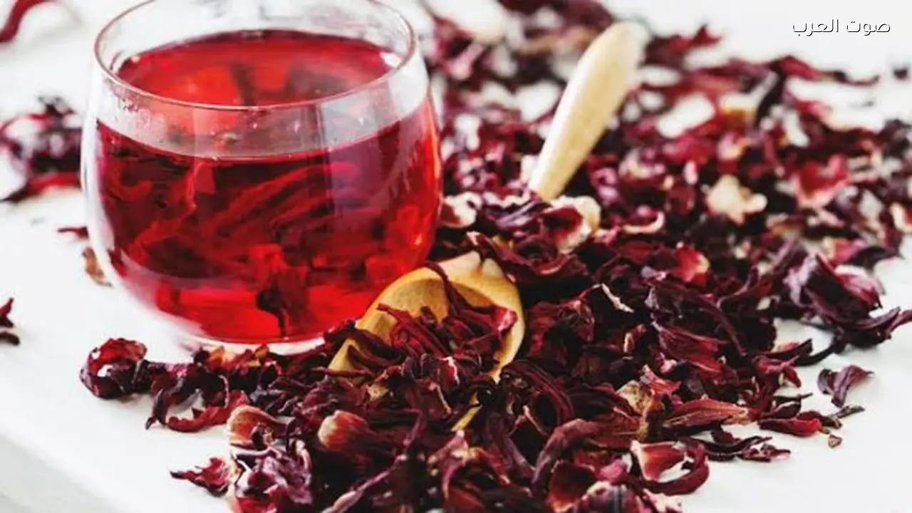 فوائد الكركديه لمرضى الكلى وتحذيرات مهمة عند تناوله