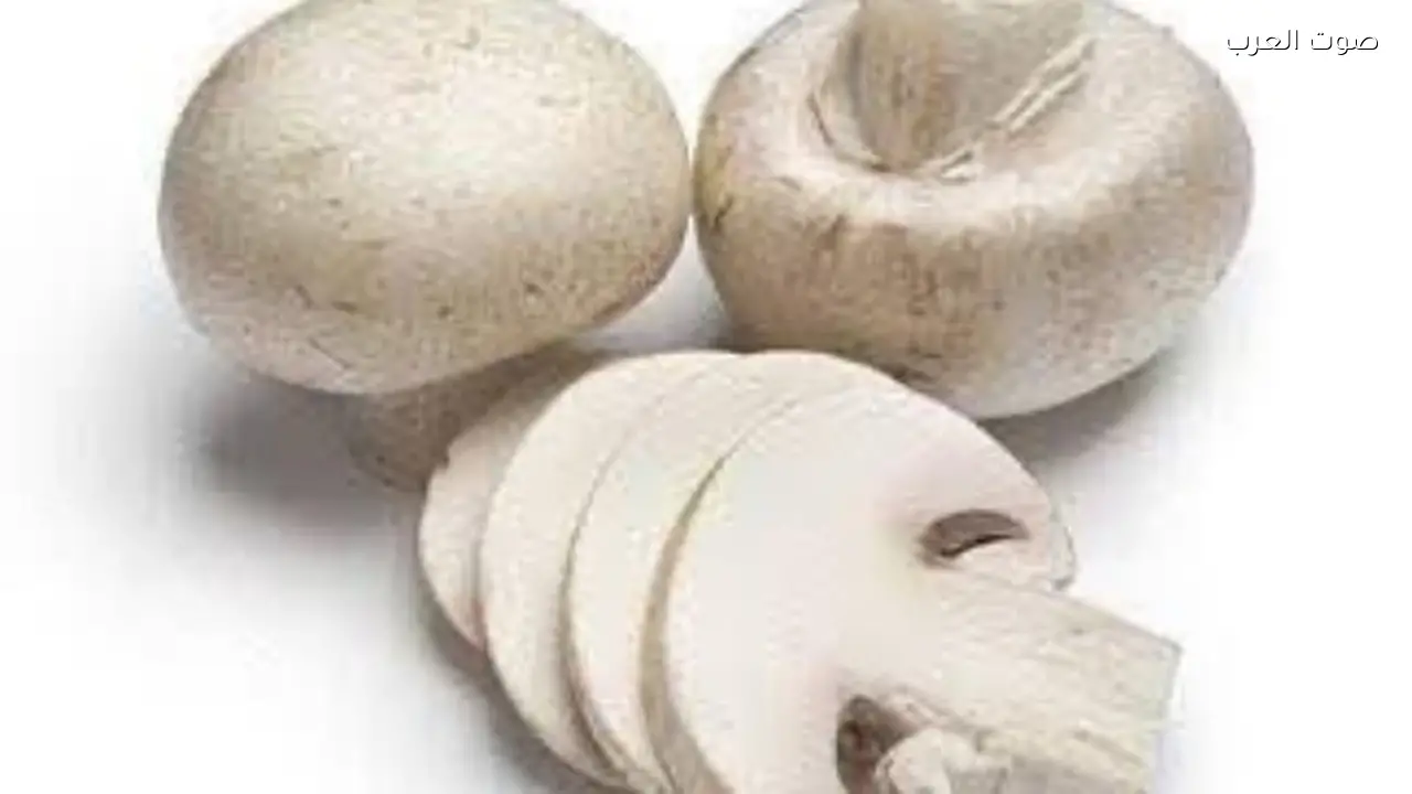 فوائد المشروم لجهازك الهضمي وكيف يعزز صحته