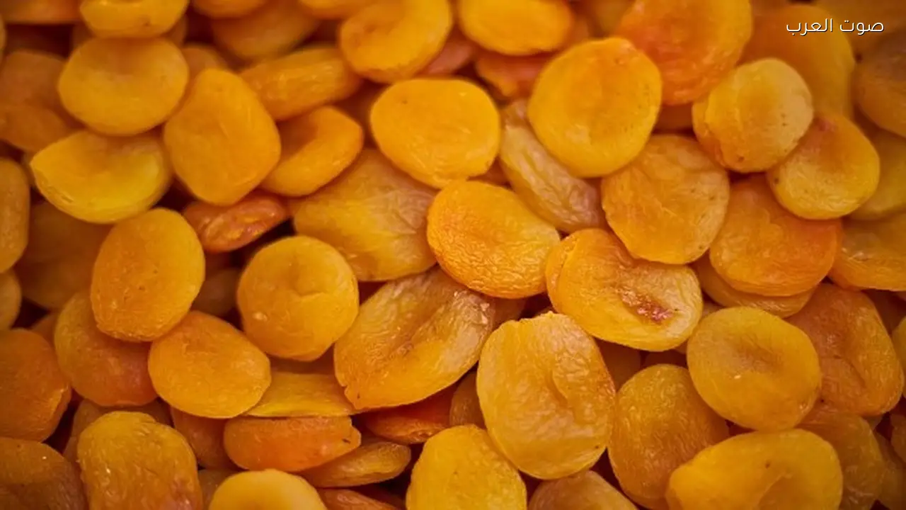 فوائد تناول المشمش المجفف لجسمك قبل رمضان