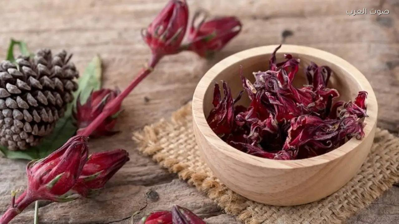 فوائد وأضرار الكركديه البارد والساخن