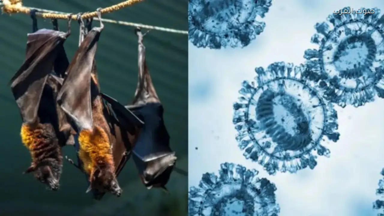 فيروس جديد يثير القلق في بنغلادش بعد نيباه